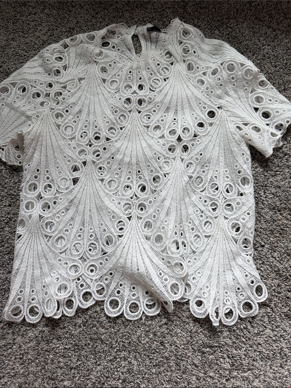 White Lace Crochet Short-Sleeve Top
